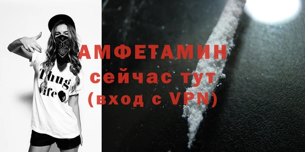 гашик Дмитровск