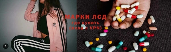 spice Дмитриев