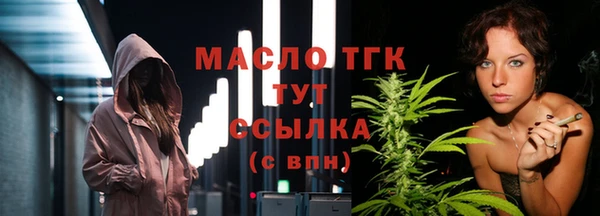 spice Дмитриев