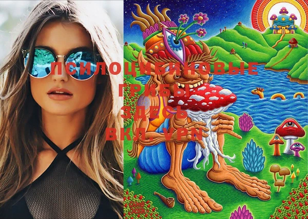 spice Дмитриев