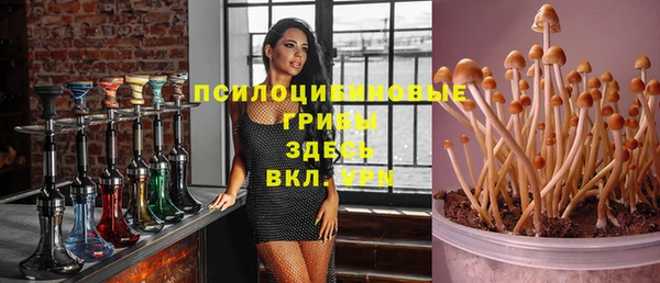 гашик Дмитровск