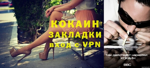 гашик Дмитровск