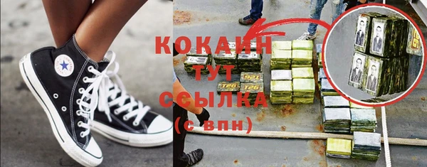 spice Дмитриев